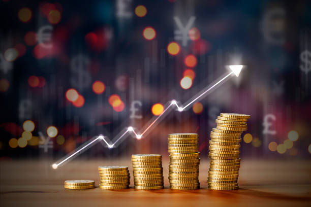 土耳其护照翻译服务